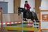 Instelling Bruikbaarheidsonderzoek Paarden (I.B.O.P.) 17 juni 2014