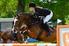 CH Zelhem paarden en pony's 2015 HENGELO GLD