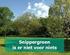 Beleid Aanpak onrechtmatig grondgebruik en verkoop reststroken in de gemeente Valkenswaard