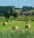 Vlaamse Ardennen Vlaanderens Mooiste Landschap. Een strategie voor toerisme