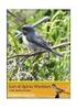 Lijst van Nederlandse vogelsoorten. Checklist of Dutch bird species