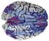 Episodic memory and the role of the brain s default-mode network Huijbers, W.