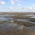 Historische ontwikkeling van droogvallende mosselbanken in de Nederlandse Waddenzee