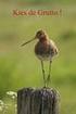 De Grutto; Nationale Vogel van Nederland