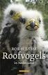 auteur: Rob Bijlsma (ook opgenomen in zijn boek Mijn roofvogels )