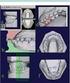 3D workflows in orthodontics, maxillofacial surgery and prosthodontics van der Meer, Wicher