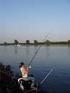 Een visie op de sportvisserij, de visstand en het visserijbeheer op de grote rivieren