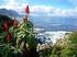 Westkaap * Hermanus Whales & Dolphins, 3 dagen, verblijf vanuit comfortabel hotel