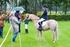 Beknopt reglement 2016 voor de wedstrijden jonge paarden LRV