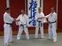 Exameneisen Kyu- en Dangraden. Karateschool Samurai. Budovereniging Shima