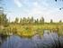 Natura 2000-gebied 10 - Oudegaasterbrekken, Fluessen en omgeving