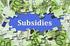 Subsidieregister. In dit totaal overzicht van het subsidieregister staat vermeld welke subsidies zijn verleend voor het jaar 2015 tot.