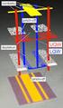 Magnetotransport of low dimensional semiconductor and graphite based systems van Schaijk, R.T.F.