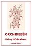 Aerides maculosa ORCHIDEEËN. Kring NO-Brabant