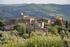 Italië - Toscane, Charming Chianti, 8 dagen De wijnheuvels tussen Florence en Siena, wandelvakantie langs goede hotels en agriturismo's