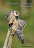 Ornithologisch jaarverslag Texel 2013