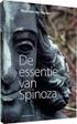 Waarom had Spinoza een voorkeur voor meetkunde (en niet voor rekenkunde)?