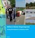 RAPPORT. Leefomgevingskwaliteit effectrapportage Overijssel. Revisie Omgevingsvisie Overijssel. Provincie Overijssel