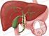 Primary sclerosing cholangitis and primary biliary cirrhosis: epidemiology, risk factors, and outcome Boonstra, K.