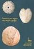 Fossiele zee-egels van West-Europa