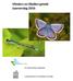 Vlinders en libellen geteld Jaarverslag 2016