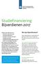 Studiefinanciering Bijverdienen 2017