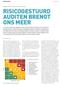 Omdenken door te focussen op risico s en kansen RISICOGESTUURD AUDITEN BRENGT ONS MEER