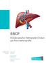 ERCP. Endoscopische Retrograde Cholangio-Pancreaticografie. T +32(0) F +32(0) Campus Sint-Jan Schiepse bos 6