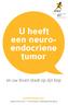 U heeft een neuroendocriene tumor