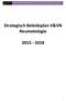 1 november 2014 STRATEGISCH BELEIDSPLAN V&VN AFDELING REUMATOLOGIE. Strategisch Beleidsplan V&VN Reumatologie