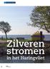 Zilveren stromen in het Haringvliet