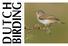 DUTCH BIRDING VOLUME 35 NO