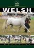 sinds 1959 Het Nederlands Welsh Pony en Cob Stamboek WELSH