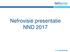Nefrovisie presentatie NND 2017