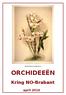 Dendrobium wardianum ORCHIDEEËN. Kring NO-Brabant