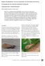 eerste waarneming van de schietmot ecclisopteryx dalecarlica in nederland en nieuwe vondsten in belgië (trichoptera: limnephilidae)
