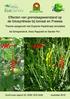 Effecten van grenslaagweerstand op de fotosynthese bij tomaat en Freesia