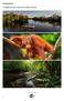 Amazing Borneo. 15 Daagse exclusieve rondreis door Sabah & Sarawak