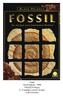 Fossil Gold Sieber, 1998 PALESCH Klaus 2-6 spelers vanaf 10 jaar ± 60 minuten