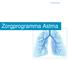 Haarlemmermeer. Zorgprogramma Astma