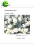 Plantenpaspoort Roos. Plant Dynamics 31 juli Gefinancierd door Productschap Tuinbouw PT-projectnr12691