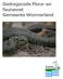 Gedragscode Flora- en faunawet Gemeente Wormerland