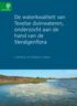 De waterkwaliteit van Texelse duinwateren, onderzocht aan de hand van de Sieralgenflora. C.J.W. Bruin, H.J.F. Schulp en J. Simons