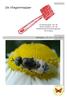 De Vliegenmepper. Contactorgaan van de Sectie Diptera van de Nederlandse Entomologische Vereniging. Jaargang 21, nr. 1 mei 2012