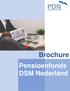 Brochure. Pensioenfonds DSM Nederland
