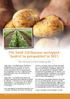 Die Suid-Afrikaanse aartappelbedryf in perspektief in 2015