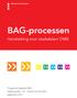 BAG-processen. Handreiking voor stadsdelen/ DMB