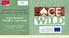 Alternative Curriculum Education out of the Wild Action Research Periode 2 - Case Study