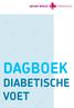 DAGBOEK DIABETISCHE VOET