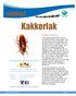 Kakkerlak. infoblad. Periplaneta americana